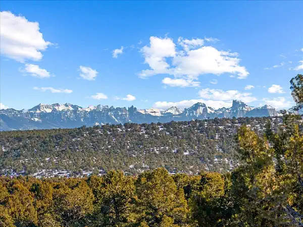 Snow-capped Sneffels Range rising above Montrose, Colorado with juniper and piñon hillside in the foreground